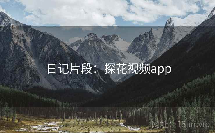 日记片段：探花视频app