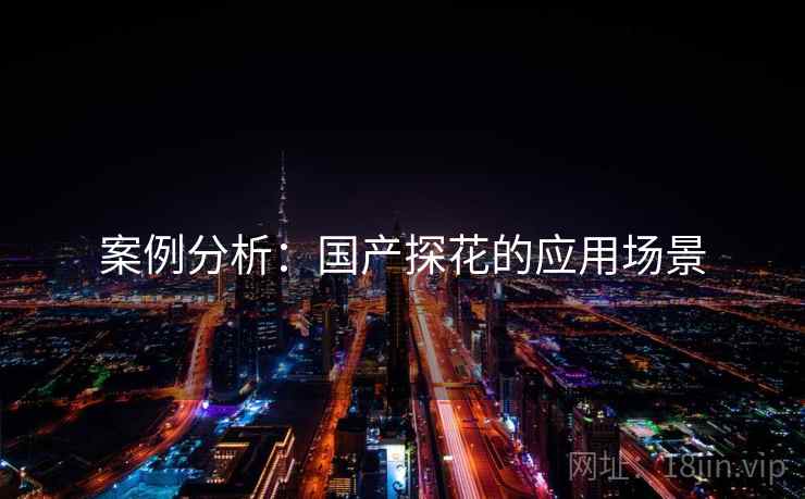 案例分析：国产探花的应用场景