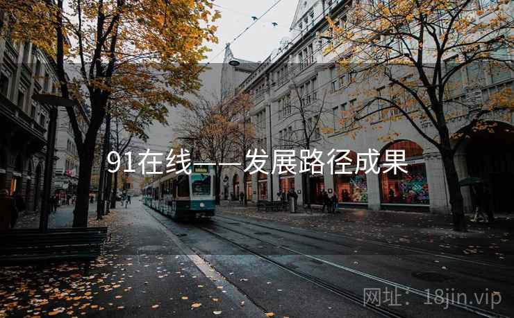 91在线——发展路径成果