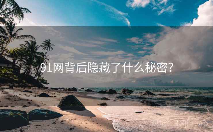 91网背后隐藏了什么秘密？