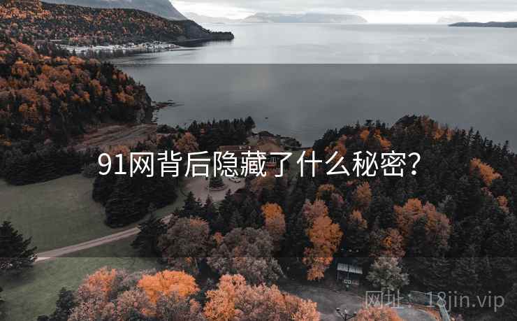 91网背后隐藏了什么秘密？