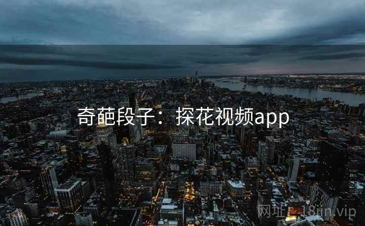 奇葩段子：探花视频app