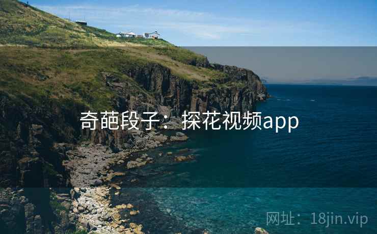 奇葩段子：探花视频app